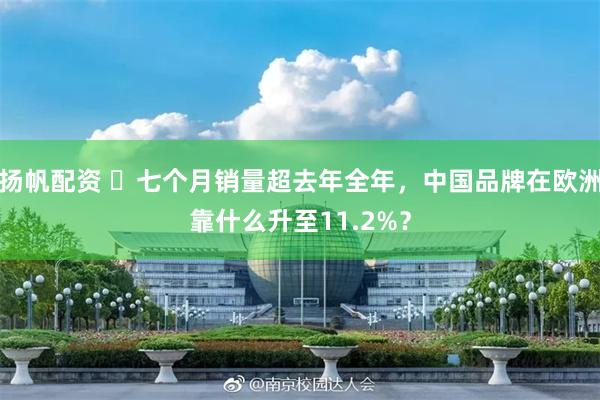 扬帆配资 ​七个月销量超去年全年，中国品牌在欧洲靠什么升至11.2%？
