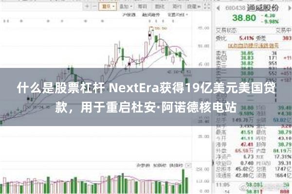 什么是股票杠杆 NextEra获得19亿美元美国贷款，用于重启杜安·阿诺德核电站