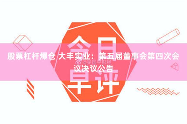 股票杠杆爆仓 大丰实业：第五届董事会第四次会议决议公告
