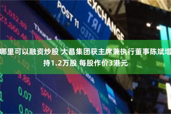 哪里可以融资炒股 大昌集团获主席兼执行董事陈斌增持1.2万股 每股作价3港元