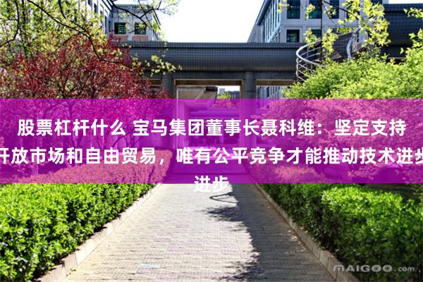 股票杠杆什么 宝马集团董事长聂科维：坚定支持开放市场和自由贸易，唯有公平竞争才能推动技术进步