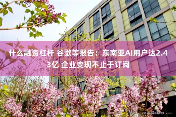 什么融资杠杆 谷歌等报告：东南亚AI用户达2.43亿 企业变现不止于订阅